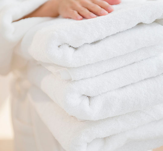 Buy Online Terry Cloth Bath Towels Wholesale Price with EuroSpa